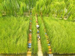 -河北村民俗体验园