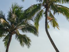 -三亚海棠湾万丽度假酒店