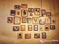 -MAISON门前杂货店