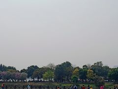 -海珠湖公园