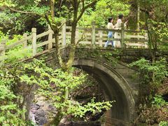 -东天目山风景区
