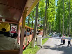 -黄海国家森林公园