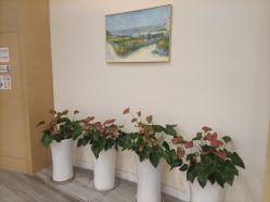 点击看大图 -杭州医学院附属妇儿医院