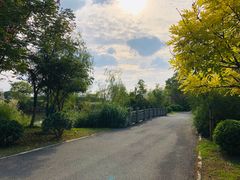 -梁鸿国家湿地公园