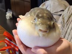 -永安鱼庄·镇江菜(东吴路店)