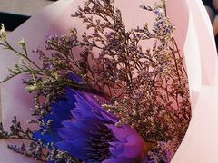 -循礼门鲜花花市(武汉循礼门店)