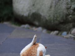 -成都杜甫草堂博物馆