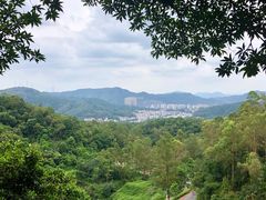 -火炉山森林公园