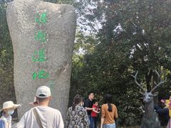 -溱湖国家湿地公园