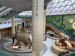 -陕西自然博物馆