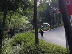 -广州市帽峰山景区