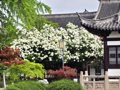 -常熟方塔园