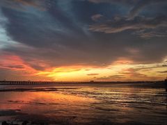 -宝安西湾红树林湿地公园