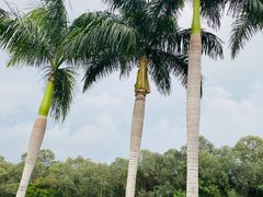 -三亚南山文化旅游区