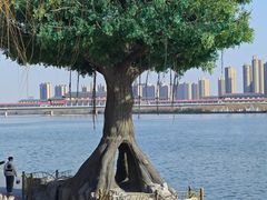 -咸阳湖景区