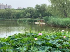 -燕郊植物园