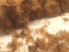 -苹果花园(枫林路店)