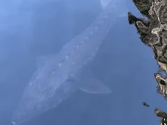 -苍山世界地质公园·石门关大峡谷