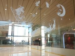 -陈露国际冰上中心(天津嘉里汇店)