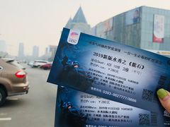 -水秀国际大剧院