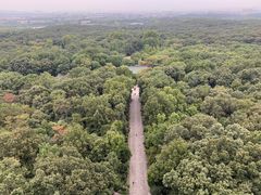 -灵谷景区