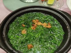 砂锅素菜-沪碟·精菜坊(闵行店)