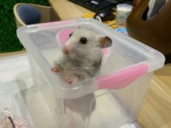 -雨林宠物医院 非犬猫异宠专科