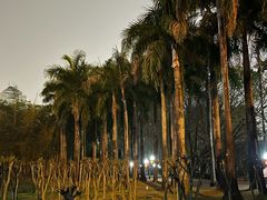 -荔香公园