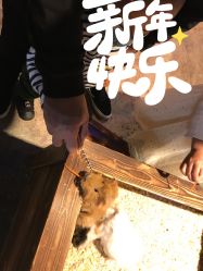 -酷嗒动物文化乐园(cutezoo西溪乐天城店)