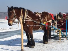 -长白山万达喜来登度假酒店