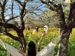 -名花谷生态庄园