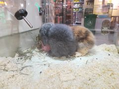 -7mall美食潮地标