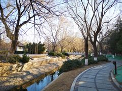 -菖蒲河公园