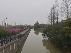 -上海长兴岛郊野公园