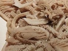 -蜀九香火锅(李家沱店)