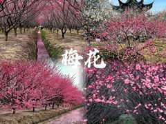 -西山风景区