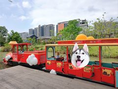 -江门古劳水乡旅游区