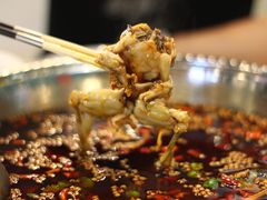 味绝美蛙-麻辣巅峰美蛙鱼头火锅(犀浦店)