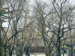 -西安博物院