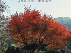 -北岭山森林公园