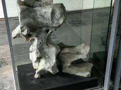 -苏州园林博物馆
