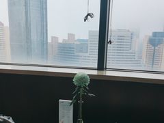 -青岛中心假日酒店·蓝天行政酒廊