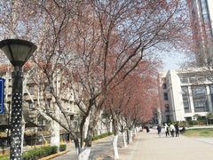 -西安交通大学(雁塔校区)