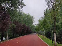 -沙澧河风景区