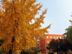 -北京市海淀外国语实验学校