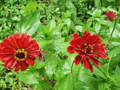 -汉长安城未央宫国家考古遗址公园