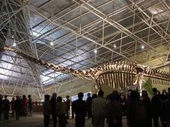 -世界恐龙谷景区