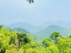 -莫干山风景区