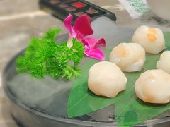 -禄婶鸡煲·打边炉