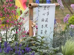 -南宁南湖公园
